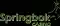 Springbok Casino