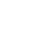Established Software Providers
